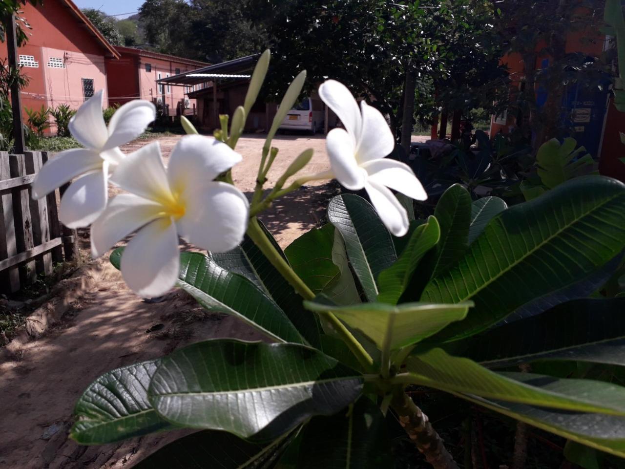 Lanta Lucky House Hotell Ko Lanta Eksteriør bilde